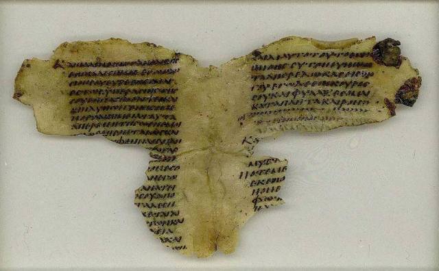 13332884_10209815031512162_2910062730254483772_n