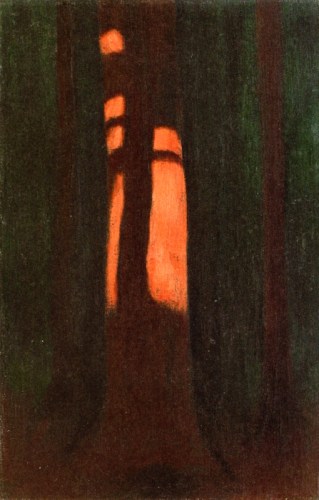 Hard Shadow Cast on Trunk Hans Emmenegger - 1934