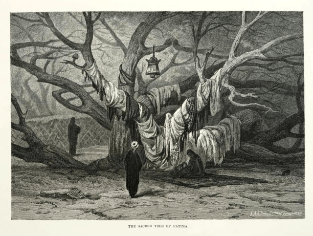 Sacred Tree of Fatima