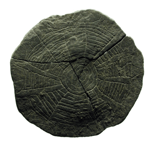 Screen Shot 11-05-16 at 05.31 PM