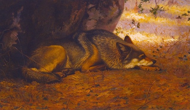 Ernest Thompson Seton - The Sleeping Wolf (1891)