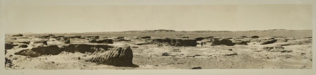 gobi-landscape-archive-central-asiatic-expedition