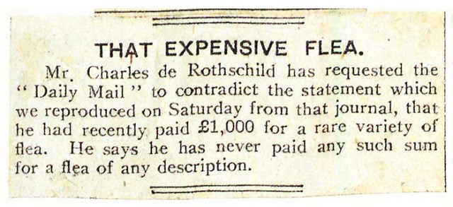 Rothschild Flea Denial (1914)