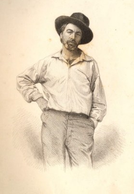 Whitman - Leaves of Grass frontispiece (1856)