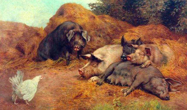 William Weekes - Pigs Disturbed by a Hen (c. 1890)