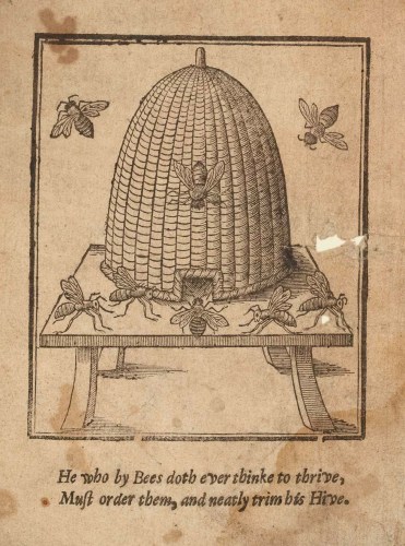 2-The-True-Ordering-of-Bees-1634