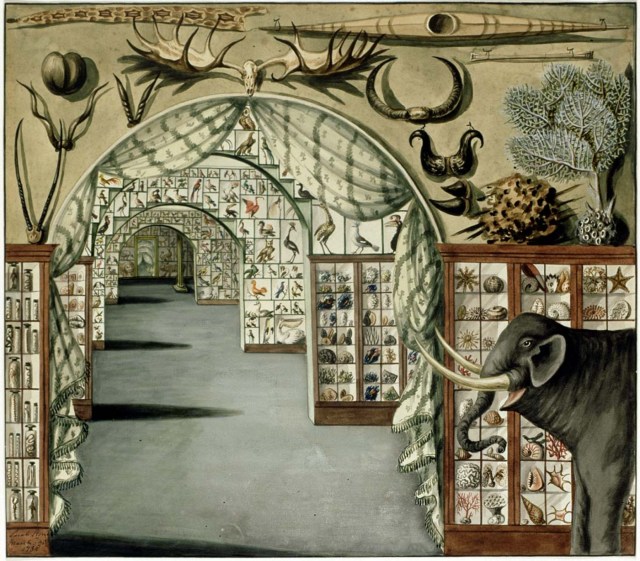 Sarah Stone - Perspective interior view of Sir Ashton Lever's Museum in Leicester Square, London March 30 1785