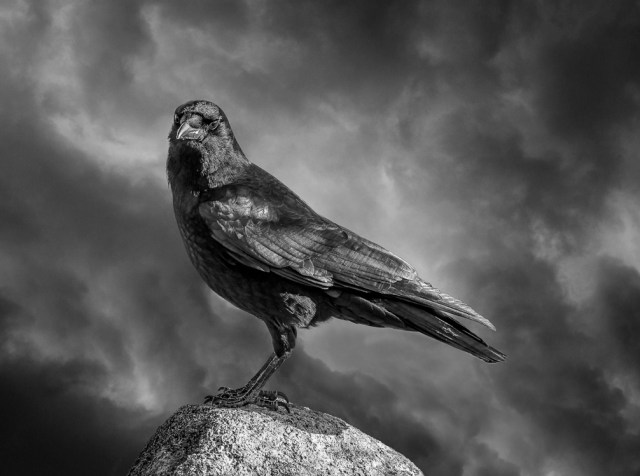 Portrait of Clubfoot 2