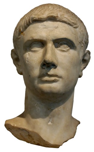 Brutus Massimo