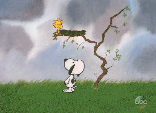 It's-the-Easter-Beagle,-Charlie-Brown-(1974).gif