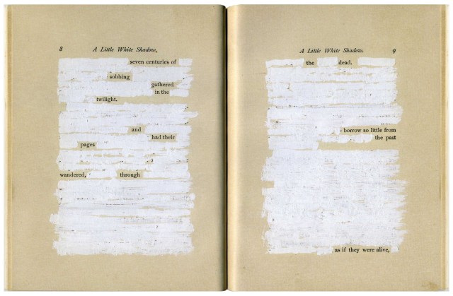 Mary Ruefle - A Little White Shadow (2006)