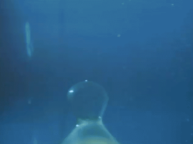 Rover - The Prisoner (1967)