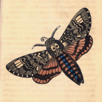 Sphinx Atroopus - The Death's Head Sphinx